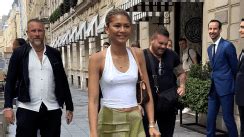 Zendaya Frees The Nipple In A See Through Crop Top