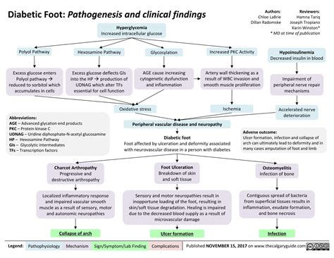 Diabetic Foot Pathogenesis And Clinical Findings Calgary Guide