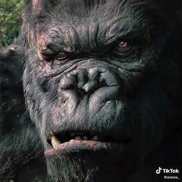 King Kong Vs King Louie Shorts Kingkong Apes Movies Edits Youtube