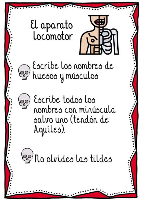 Ejercicio Interactivo Gratuito De Aparato Locomotor Ejercicios