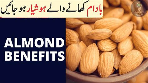 Badam Khane Ke Fayde Health Benefits Of Almonds Bheege Badam Khane