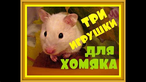 Игрушки для хомяка хомяков своими руками ДОМАШНИЕ ХОМЯКИ Сирийский ...
