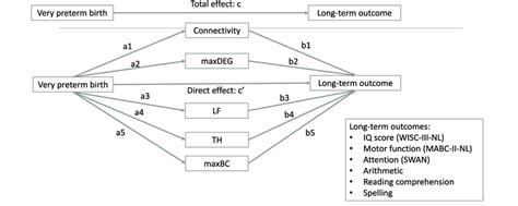 Graphical Representation Of The Parallel Multiple Mediator Model C