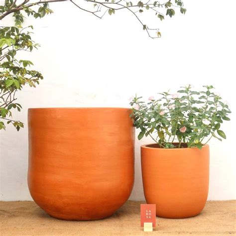 grb epic larosa custom pot plant supply