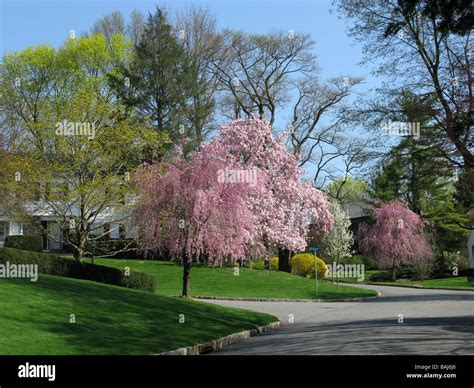 USA NEW YORK Scarsdale Westchester County Stock Photo - Alamy