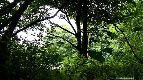 Free Gay Porn Videos Trending Porno Movies XHamster