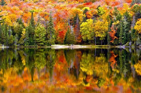 Fall Colours In Ontario Muskoka Leaf Peeping