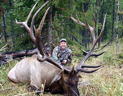 WILD LIFE: AMAZING WORLD RECORD BULL ELK