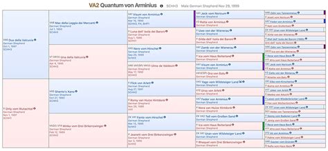How Do I Read A Dog Pedigree Chart