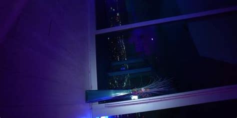 Thick Ass Sophi Dream With BBC POV Tnaflix