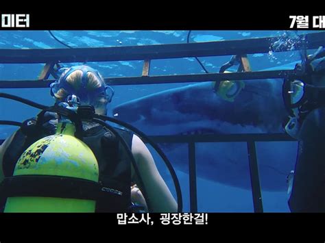 47 미터 (47 Meters Down) 상세정보 | 씨네21