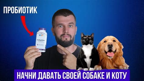 Лучший пробиотик для собак и котов - YouTube
