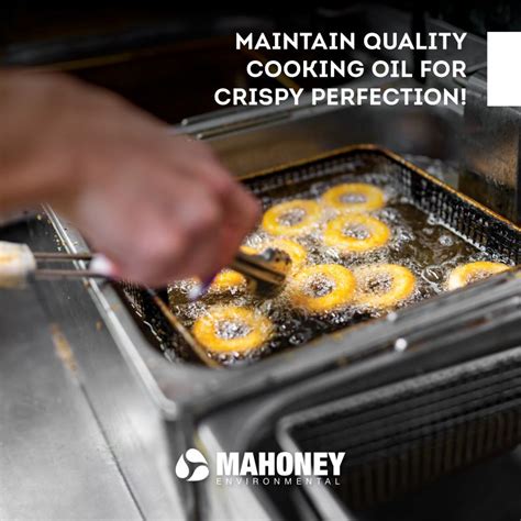 How To Filter And Manage Cooking Oil Mahoney Environmental Posted On