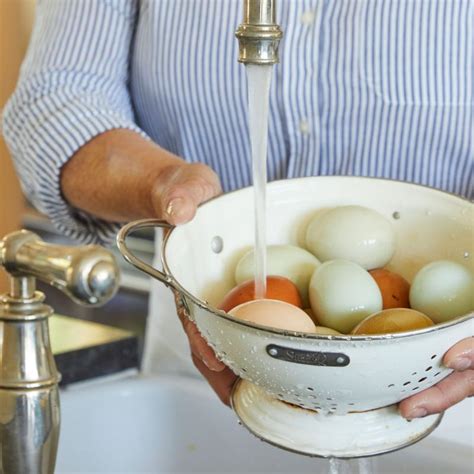 Срок годности яиц - SadBlog