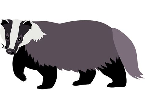 Badger Clipart Transparent Image Clipartlib