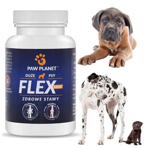 PAW PLANET FLEX TABLETKI NA STAWY DLA PSA KOLAGEN KWAS HIALURONOWY 120