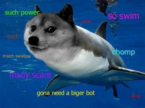 227 best Doge Meme Dog Memes images on Pinterest | Funny pics, Funny stuff and Doge meme