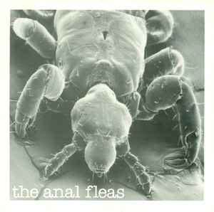 The Anal Fleas Landlord 1982 Vinyl Discogs