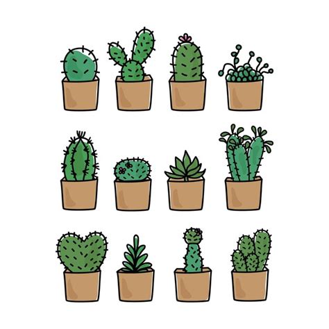 Premium Vector Cute Cactus Hand Drawn Cactus Vector Illustration
