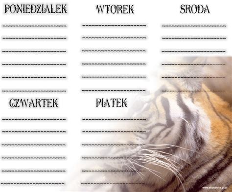 Wiersze i inne: Plany lekcji