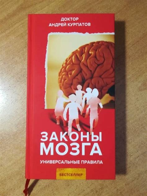 Книга: Законы мозга - Андрей Курпатов. Купить книгу, читать рецензии ...
