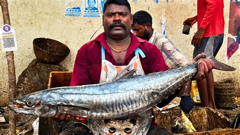 Big Seer Vanjaram Fish Cutting By Speed Selvam Hd Video In Kasimedu