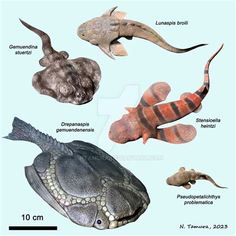 Devonian Fish Series 11 By Ntamura On Deviantart