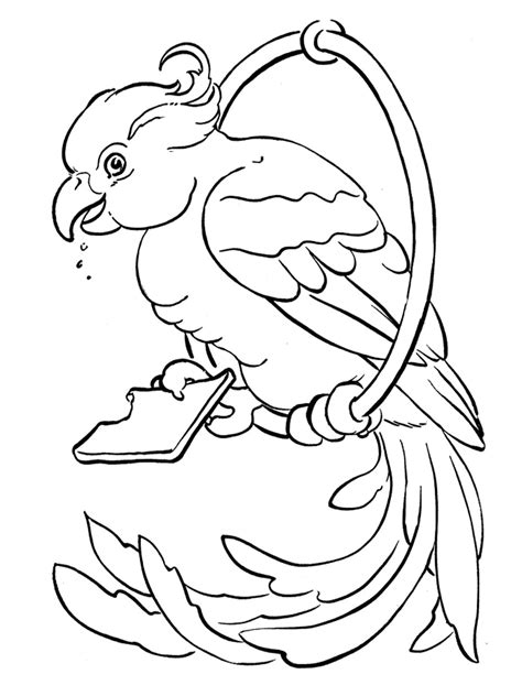 Gambar Mewarnai Burung Dara Mosi