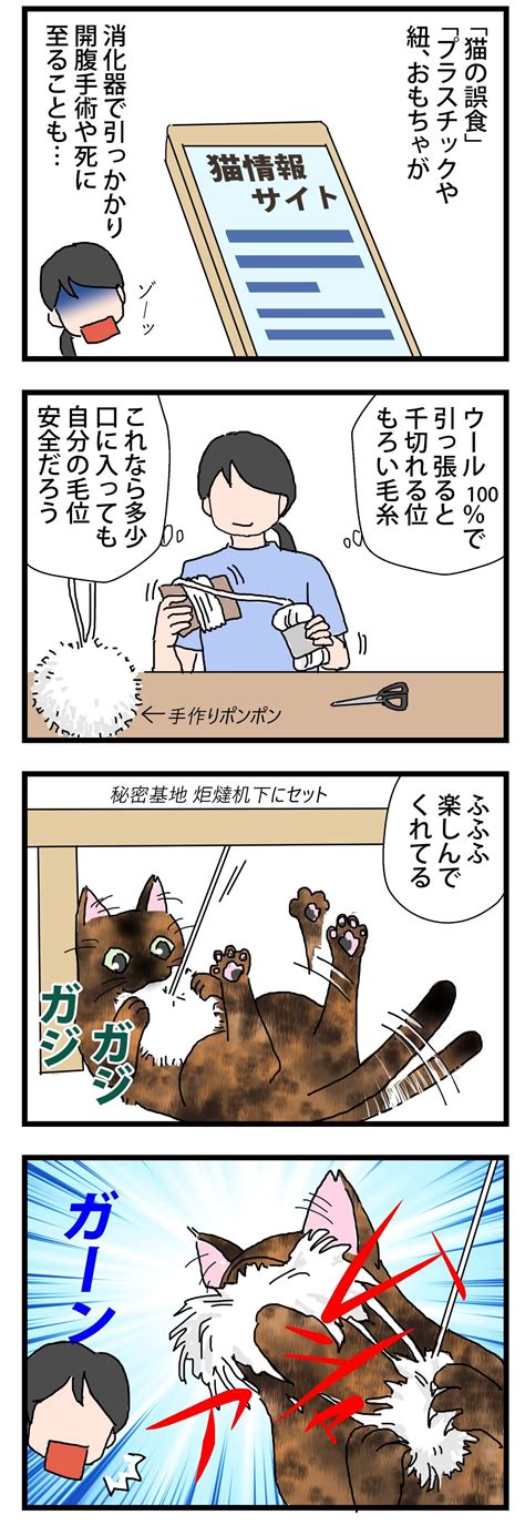 野生① 保護猫かやさん～凛々しいサビ猫様と私～