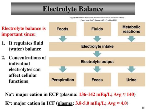PPT - Chapter 26 Fluid, Electrolytes, and Acid/Base Balance Lecture 17