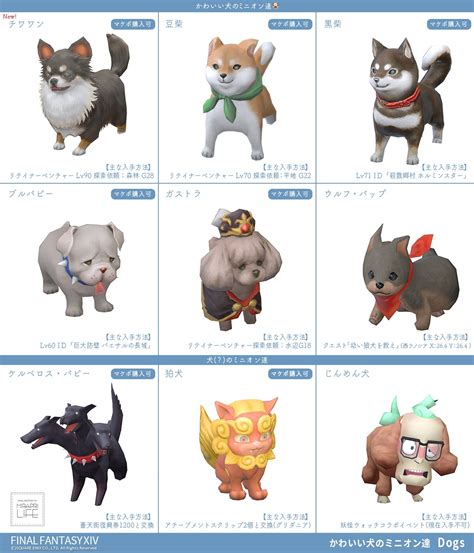 【ff14】かわいい子犬ミニオン「チワワン」の入手方法・見た目紹介！【パッチ61】 ミラプリライフ