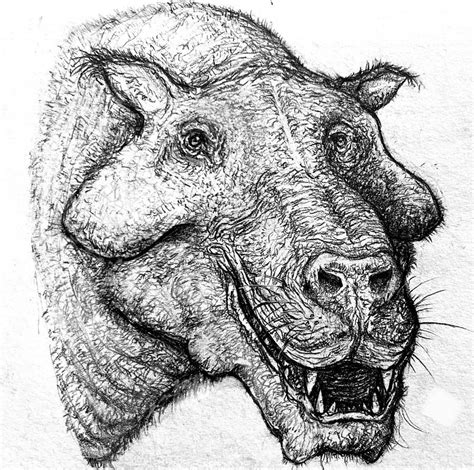 Daeodon By Everett1107 On Deviantart