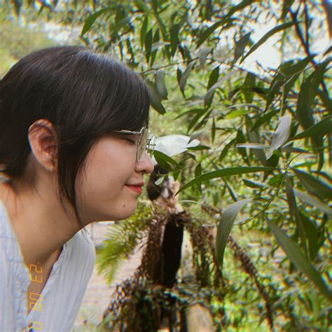 Top bài nhạc Tết hot trend TikTok 2025 không thể bỏ lỡ