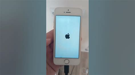 Iphone 5s красный экран - YouTube