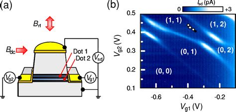 Figure From Voltage Selective Bidirectional Polarization And Coherent