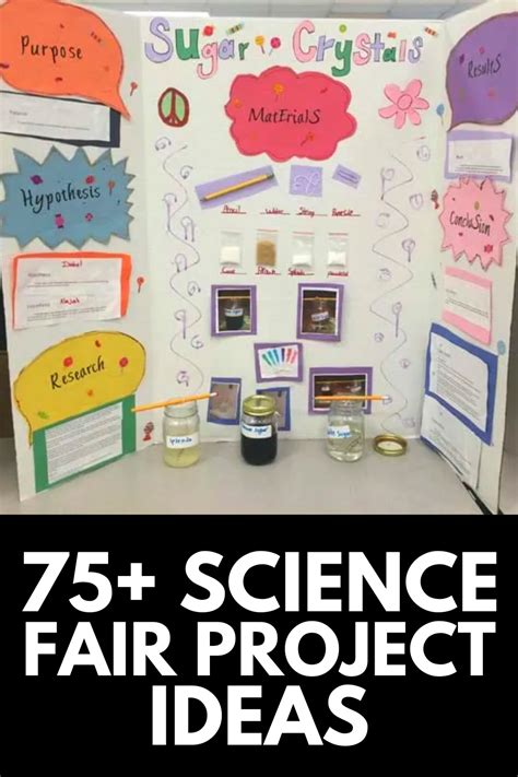 Best 13 Winning Science Fair Project Ideas For Kids Artofit