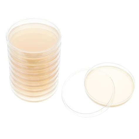 10pcs Pre Poured Agar Plates Labs Petri Dishes With Agar General Growth