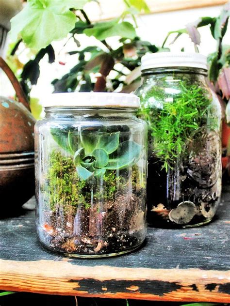 25 Easy Terrarium in a Jar Ideas to Make - DIY Crafts