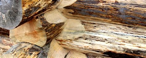 Скрайбер Классика PRO - Grit7 - Плотницкая черта | Купить скрайбер ...