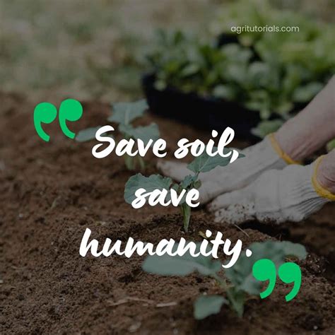 100 Powerful Slogans on Soil Conservation: Transform the Earth - AGRI ...