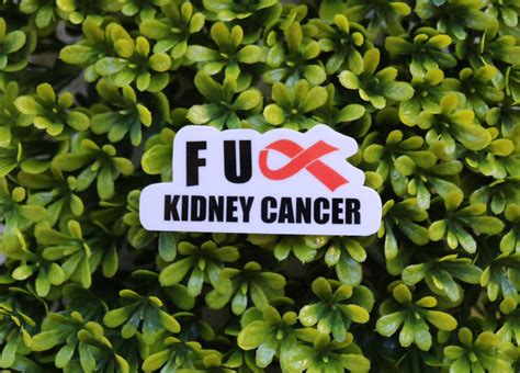 Fuck Kidney Cancer Sticker Fuck Cancer Sticker Awareness Etsy