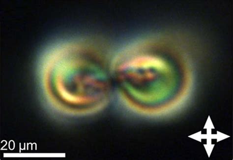 Never Before Seen Topological Solitons Experimentally Realized In Liquid Crystals