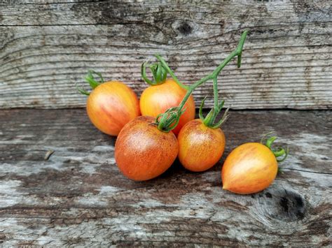 Бананово-лимонный Сингапур — Banana Lemon Singapore — Перцовая ферма ...