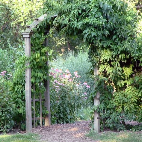 The Secret Garden Free Stock Photo Public Domain Pictures