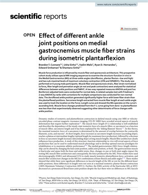 Pdf Effect Of Different Ankle Joint Positions On Medial Gastrocnemius