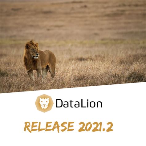 Datalion Dashboard Webinar Free Register The New Released 20212
