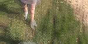 Frizzy Haired Brunette Amateur Fingering Herself In Public Tnaflix