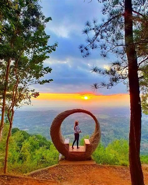 Puncak Becici Jogja Pesona Wisata Hutan Pinus Sewa Mobil Jogja Dan