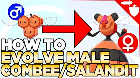 Video: Pokemon Sword/Shield Bug Allows Players To Evolve Male Combee ...