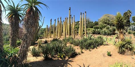 รูปภาพPinya – เลือกดูภาพถ่ายสต็อก เวกเตอร์ และวิดีโอ117 | Adobe Stock